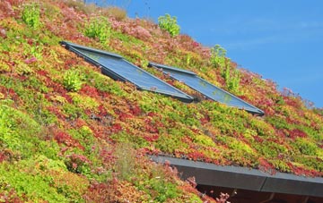 Marshalswick living roof systems